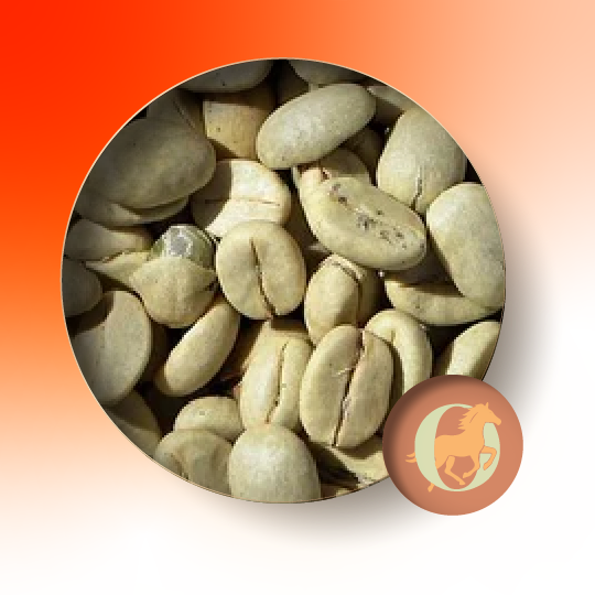 Home green coffee arabica 02 02