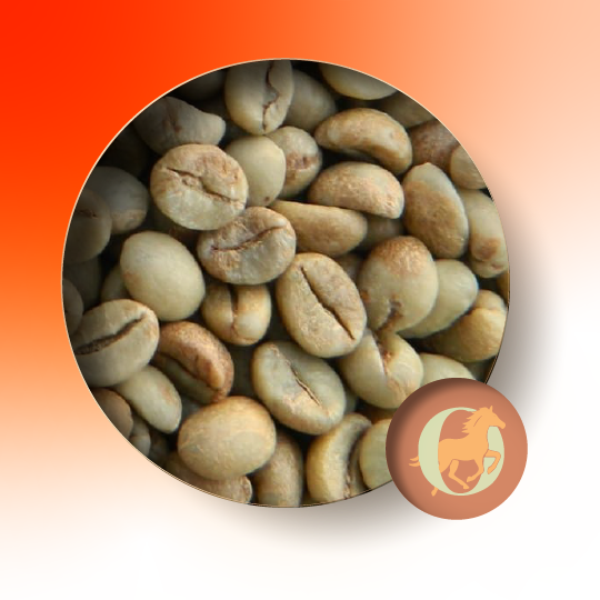 Home green coffee robusta 02