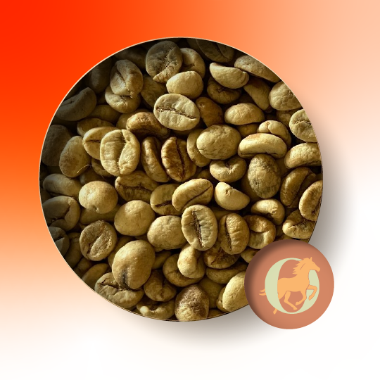 Home green washed robusta 02