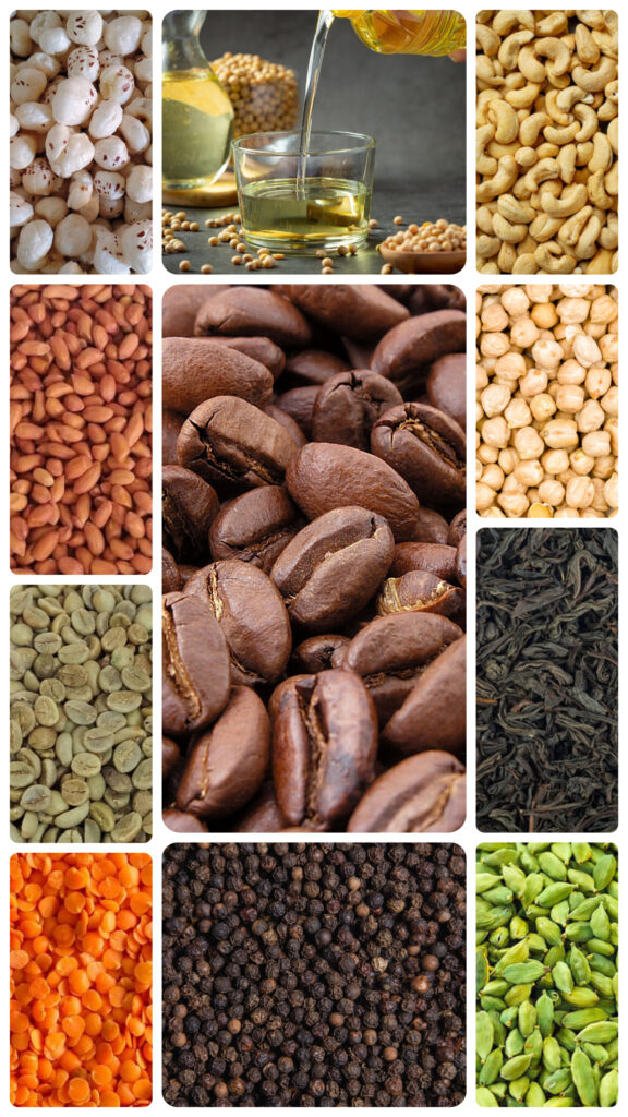 Home inshot 20251231 082051433